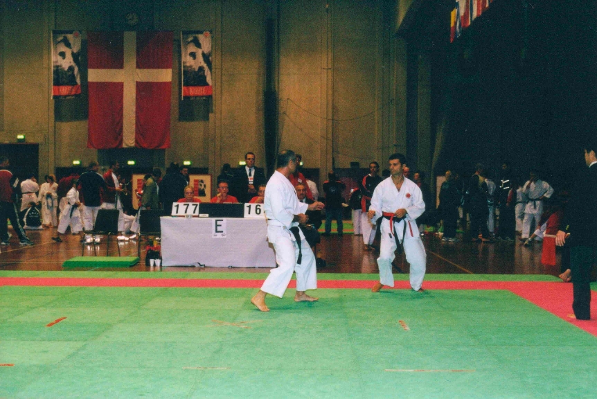 Campionati Europei 2001 - Foto 5