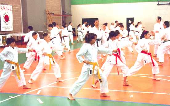 1° Giornata del Karate - foto 1